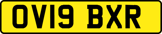 OV19BXR