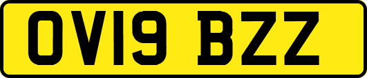 OV19BZZ