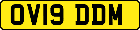 OV19DDM