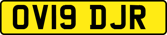 OV19DJR