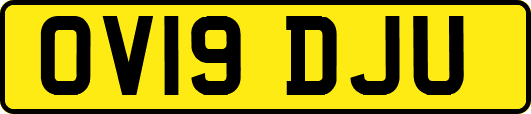 OV19DJU