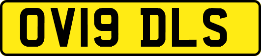 OV19DLS