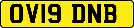 OV19DNB