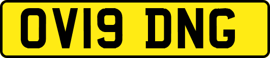 OV19DNG