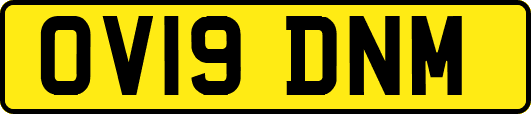 OV19DNM
