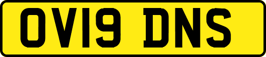 OV19DNS