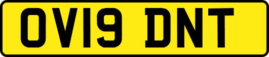 OV19DNT