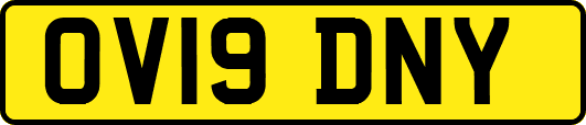 OV19DNY