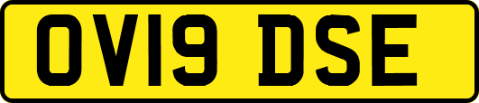 OV19DSE
