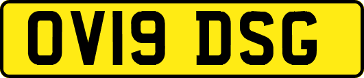 OV19DSG