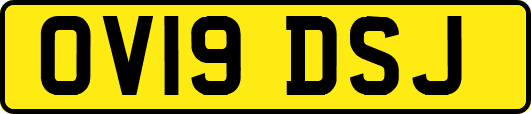 OV19DSJ