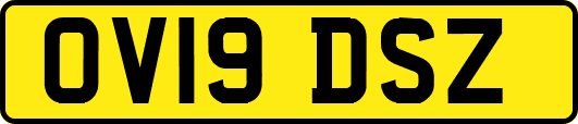 OV19DSZ