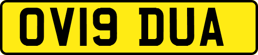 OV19DUA