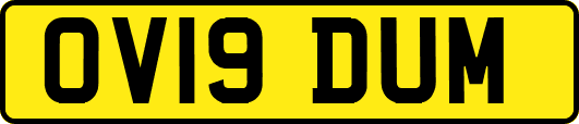 OV19DUM