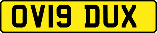 OV19DUX