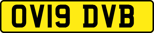 OV19DVB