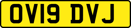OV19DVJ