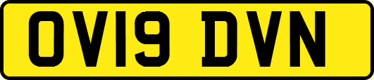 OV19DVN