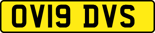 OV19DVS