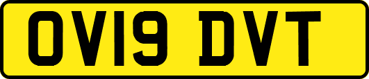 OV19DVT