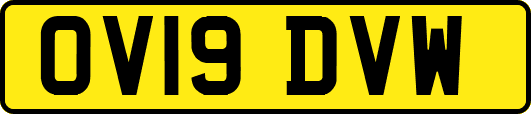 OV19DVW