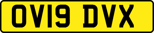 OV19DVX