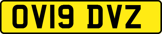 OV19DVZ
