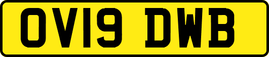 OV19DWB