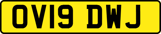 OV19DWJ