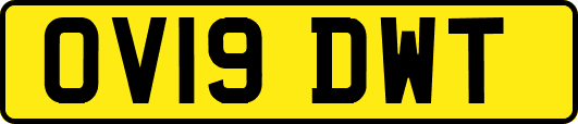OV19DWT