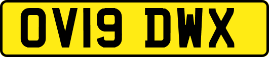 OV19DWX