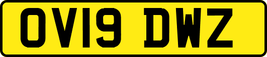 OV19DWZ