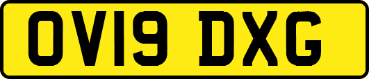 OV19DXG