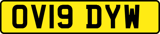 OV19DYW