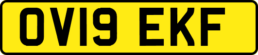 OV19EKF
