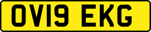 OV19EKG