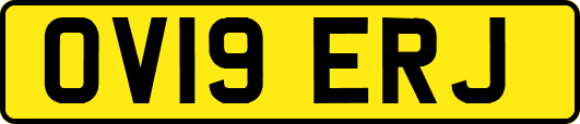 OV19ERJ