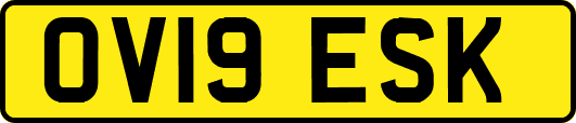 OV19ESK