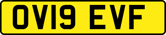 OV19EVF