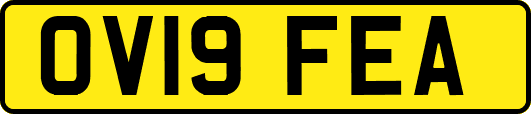 OV19FEA