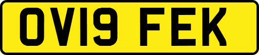 OV19FEK