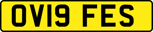 OV19FES