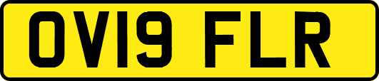 OV19FLR