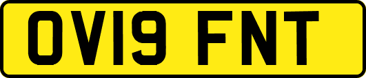 OV19FNT