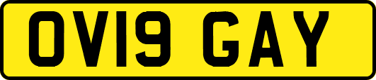 OV19GAY