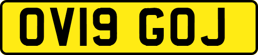 OV19GOJ