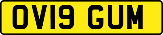 OV19GUM