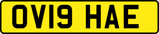 OV19HAE