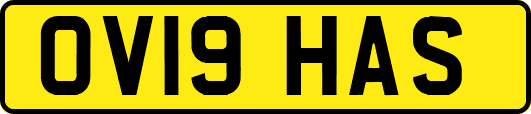OV19HAS