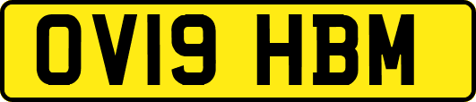 OV19HBM